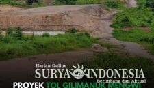 Kementerian Pekerjaan Umum memutuskan untuk segera menggelar kembali proses lelang proyek pembangunan Jalan Tol Gilimanuk-Mengwi di Pulau Bali.